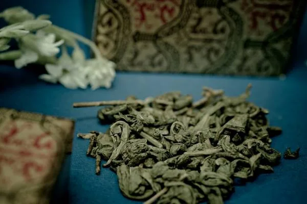 چای سبز