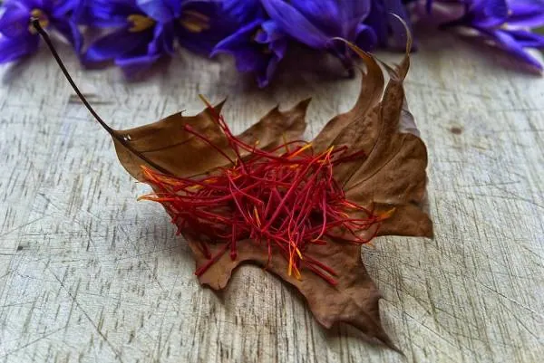 زعفران برای سلولیت
