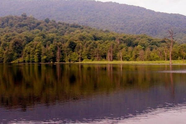دریاچه ساری