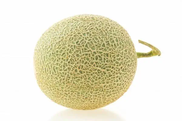 ملون بارداری