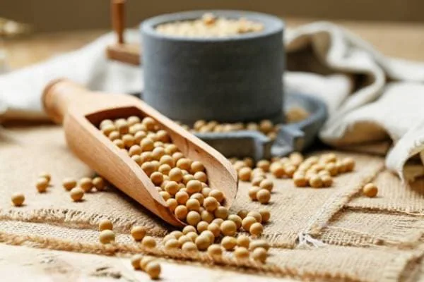 غذای قد