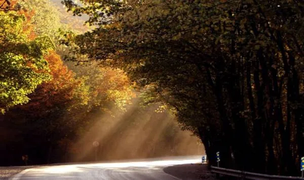 دیدنی های گلستان