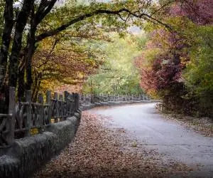 پارک ملی گلستان