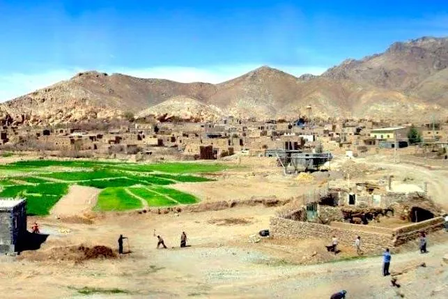 جذابیت رشم
