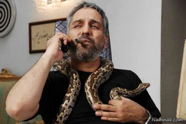 مهران مدیری