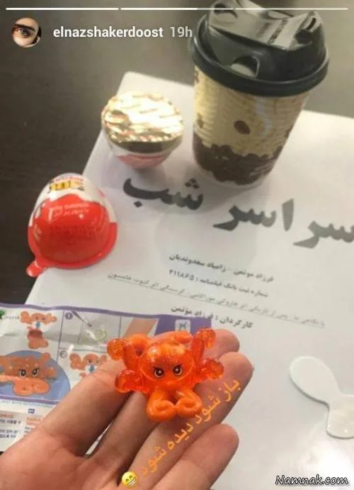 الناز شاکردوست
