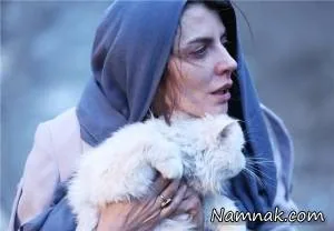 فیلم رگ خواب