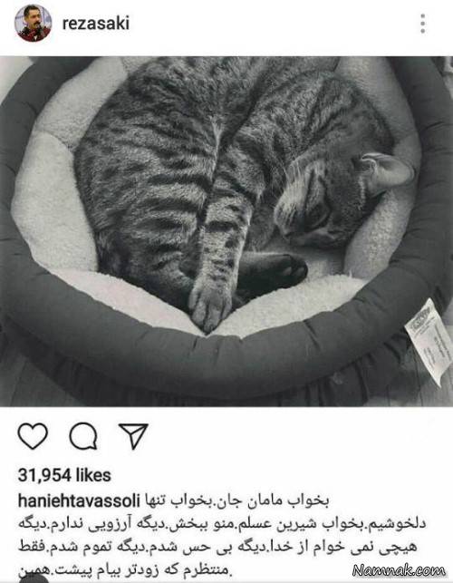مرگ گربه هانیه توسلی