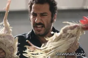 نوید محمدزاده
