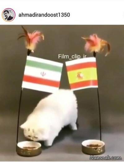  بازی ایران   اسپانیا