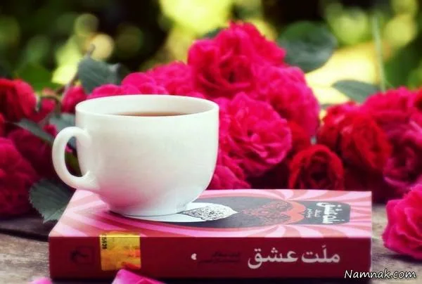 کتاب ملت عشق 