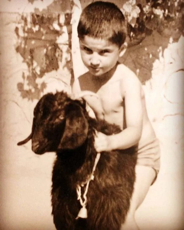 مهدی سلطانی