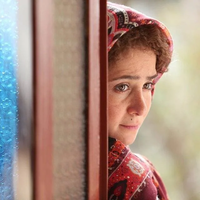 الناز حبیبی 