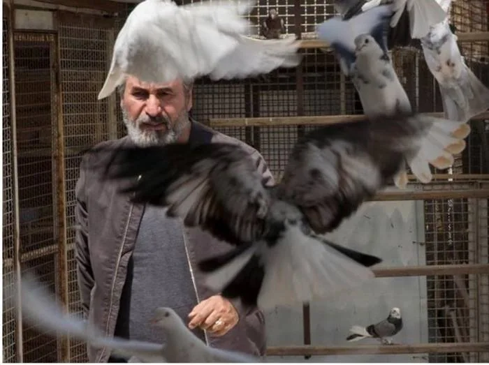 حمید فرخ نژاد