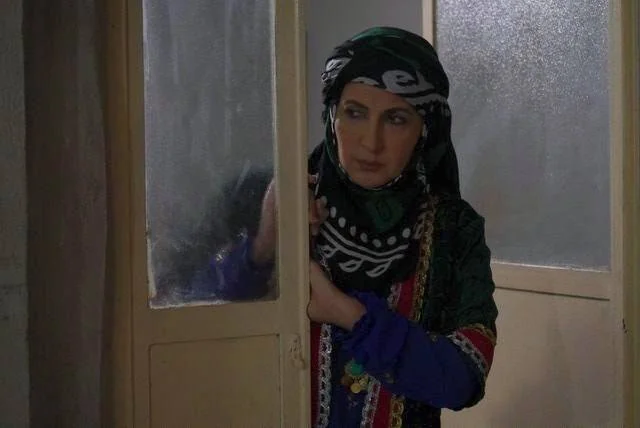 فاطمه گودرزی
