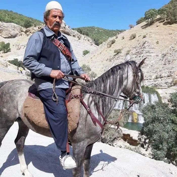 مجید مظفری