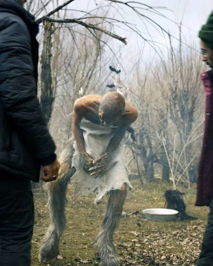 فیلم پوست