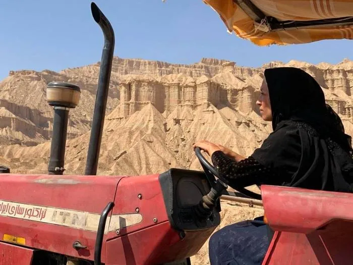پانته آ پناهی ها