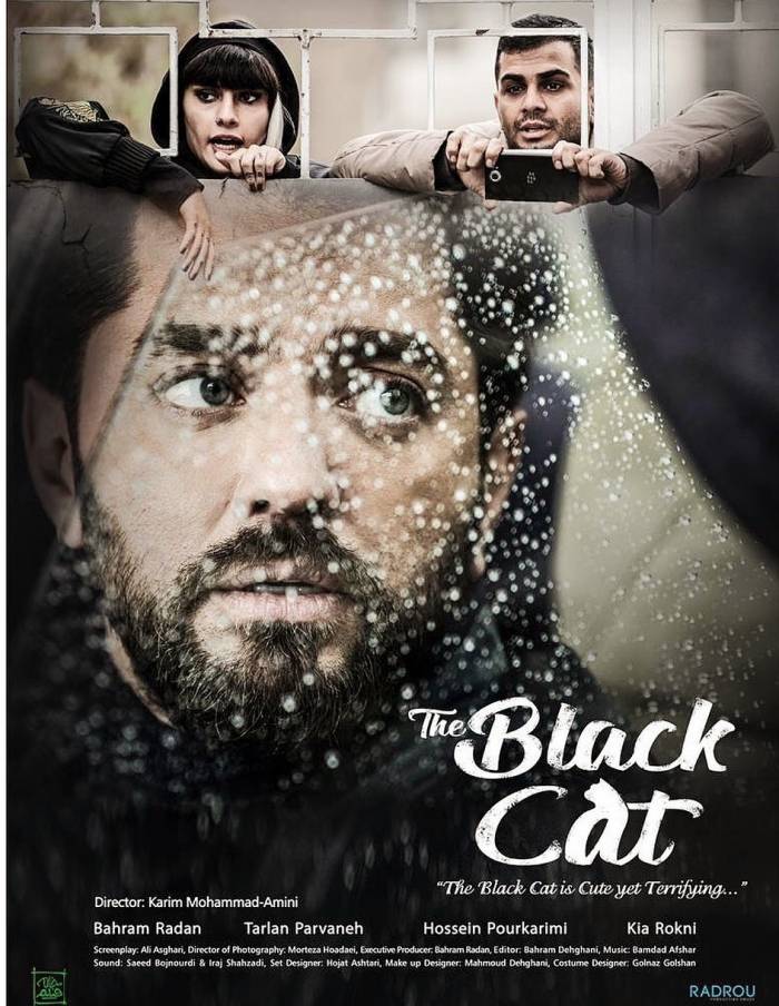 پوستر فیلم گربه سیاه