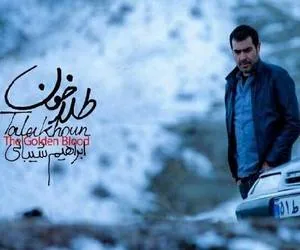 شهاب حسینی