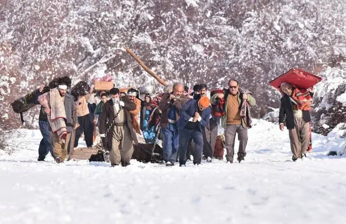 بازیگران سریال نون خ