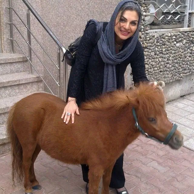 الیزابت امینی