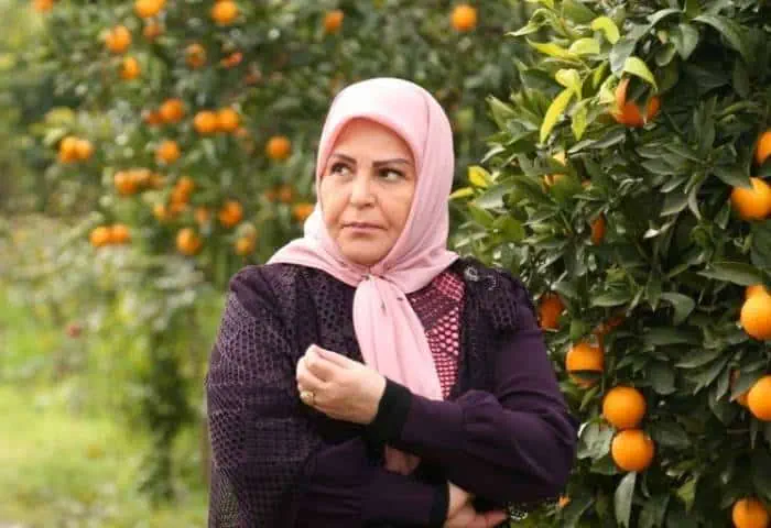 اکرم محمدی 