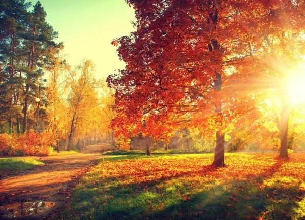 فصل پاییز
