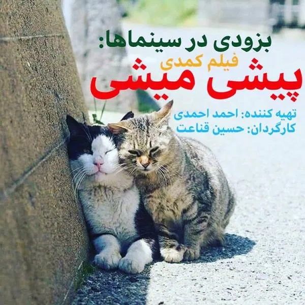 فیلم پیشی میشی