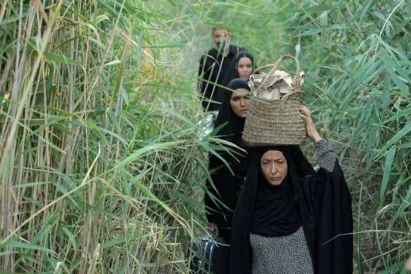 آزیتا حاجیان