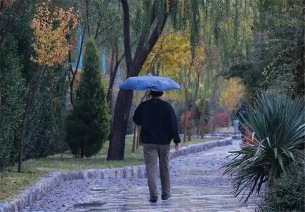 بارش باران