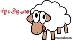 ببعی کوچولو