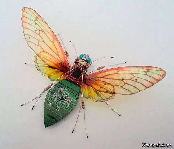 عکس حشرات دوربین دار