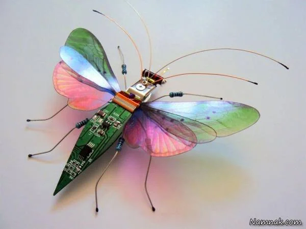 حشرات دوربین دار