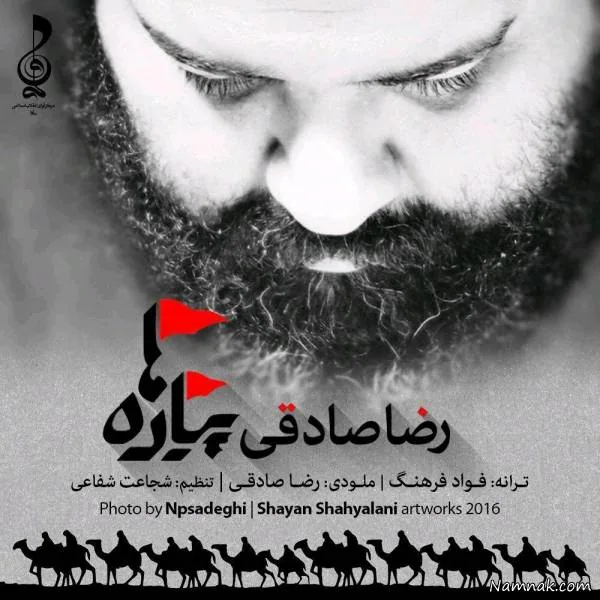 رضا صادقی