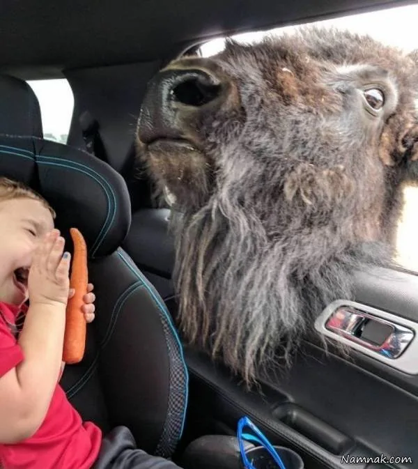 عکس بامزه کودکانه عکسهای بامزه کودکان