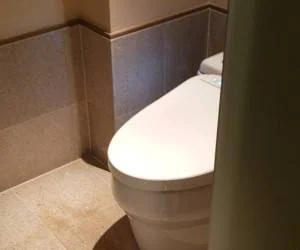 توالت مدرن ژاپنی