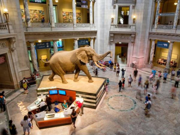 موزه ملی تاریخ طبیعی واشنگتن
