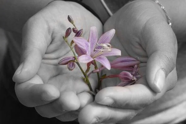 ترفندهای عکاسی 