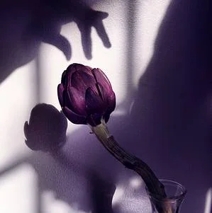نور طبیعی در عکاسی