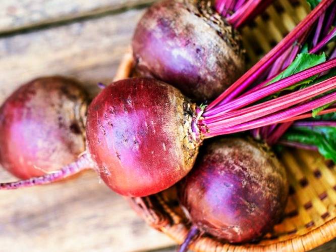 گیاهان آهن دار