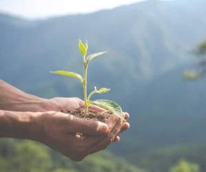 روز جهانی محیط زیست