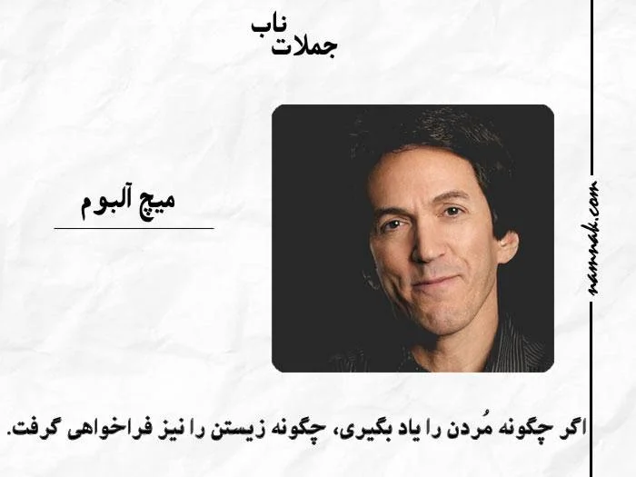 میچ آلبوم