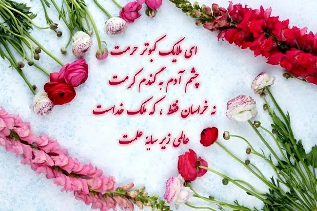 متن تولد امام رضا