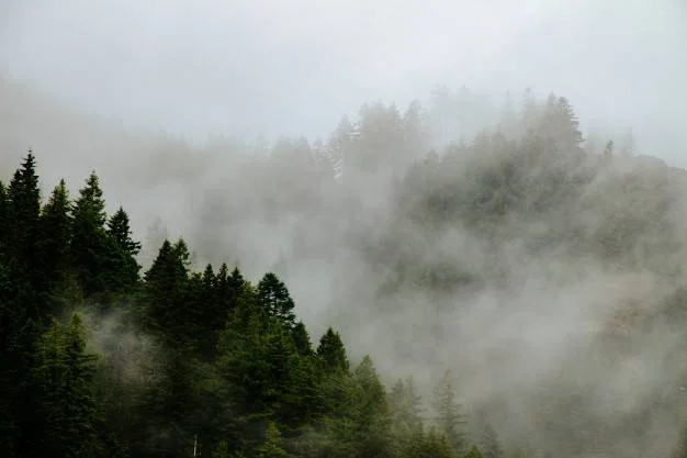 جملاتی برای خدا