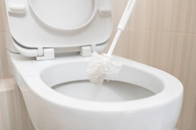 راه و روش های خانگی برای رفع گرفتگی توالت