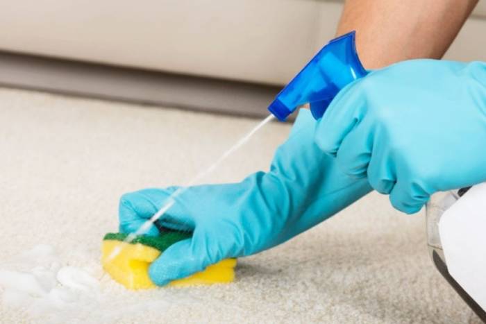 آموزش روش های تمیز کردن آدامس از روی فرش