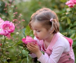 بوهای خوب