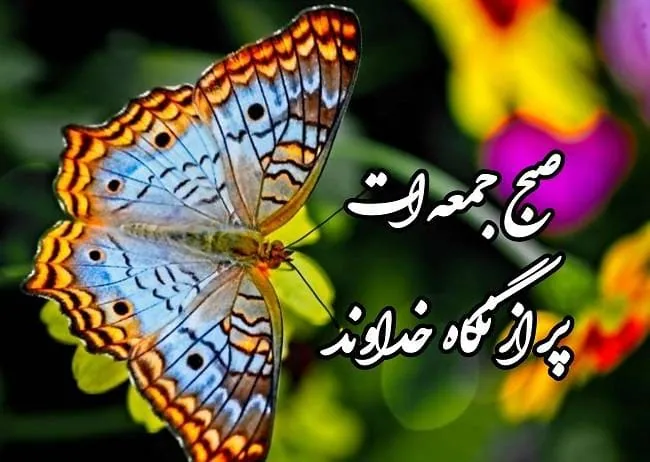 پروفایل روز جمعه