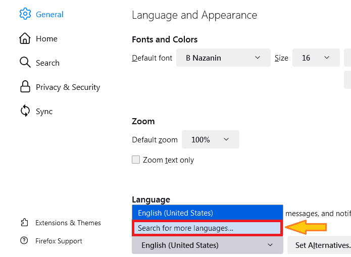زبان فایرفاکس